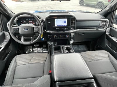 2021 Ford F-150 XL - 4WD / STX APPEARANCE PKG
