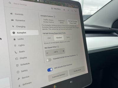 2020 Tesla Model 3 Performance - SELF DRIVING PKG / PEDESTRIAN BRAKING