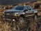 2020 Chevrolet Silverado 1500 LT Trail Boss CLEAN CARFAX 1-OWNER