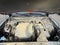 2024 Hyundai PALISADE SEL Cpo Eligible