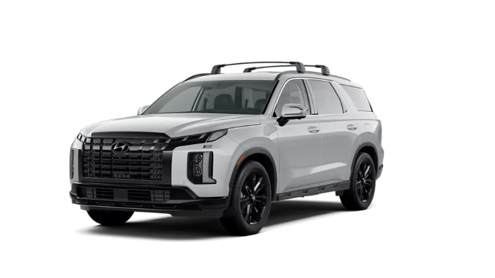 2025 Hyundai Palisade XRT Trim